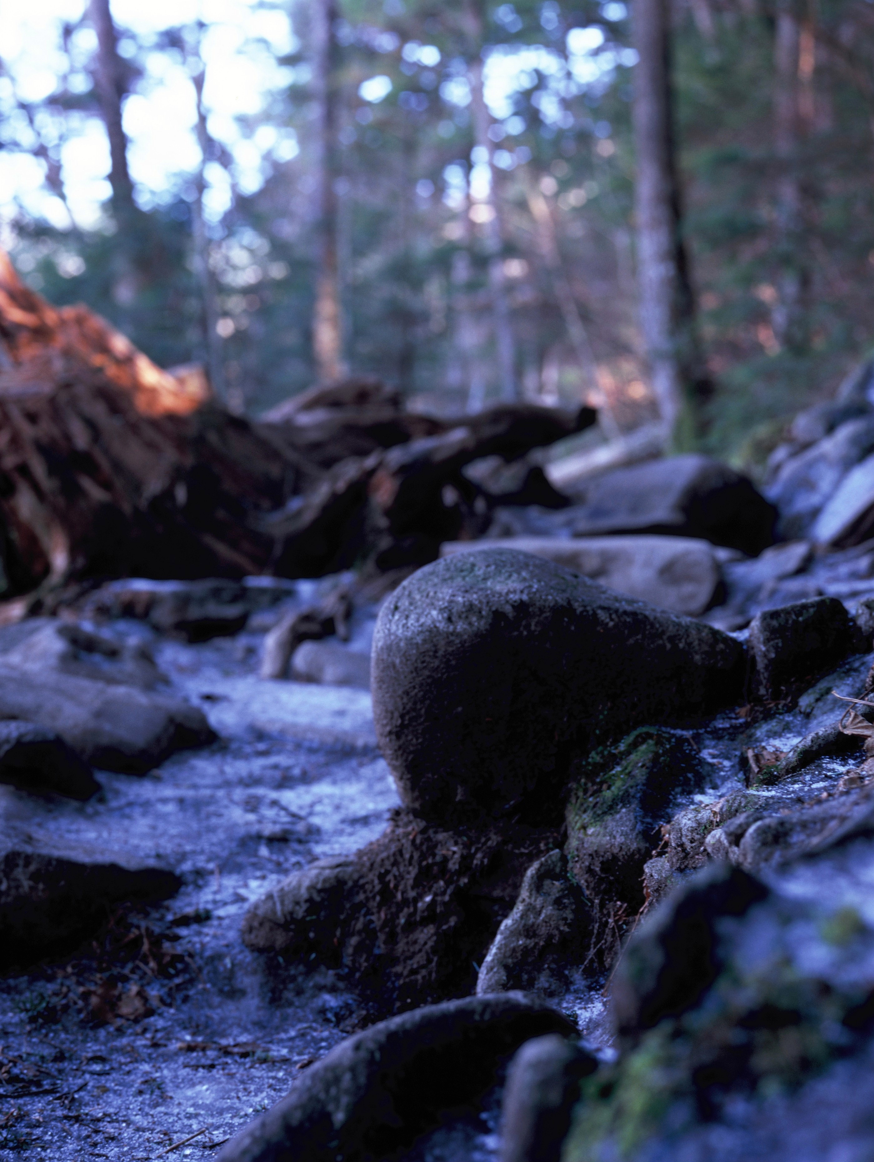 Frozen Ground