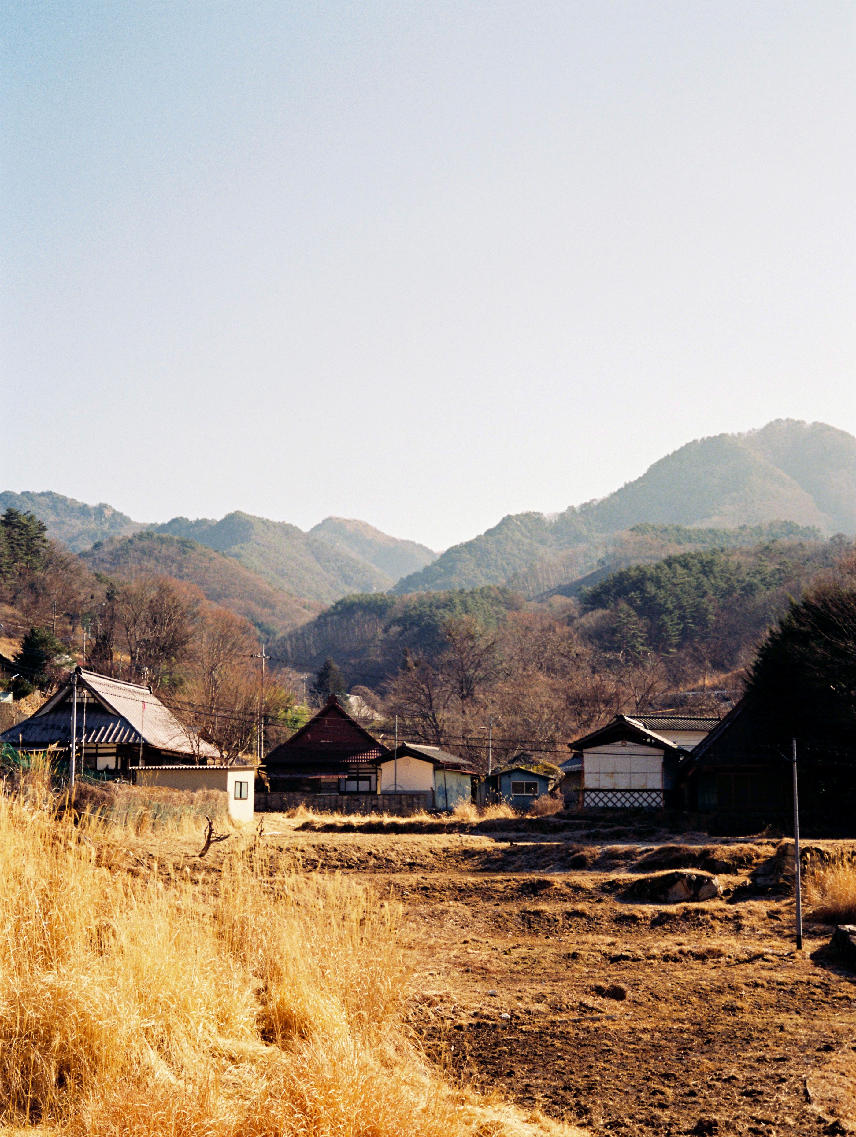 A Village