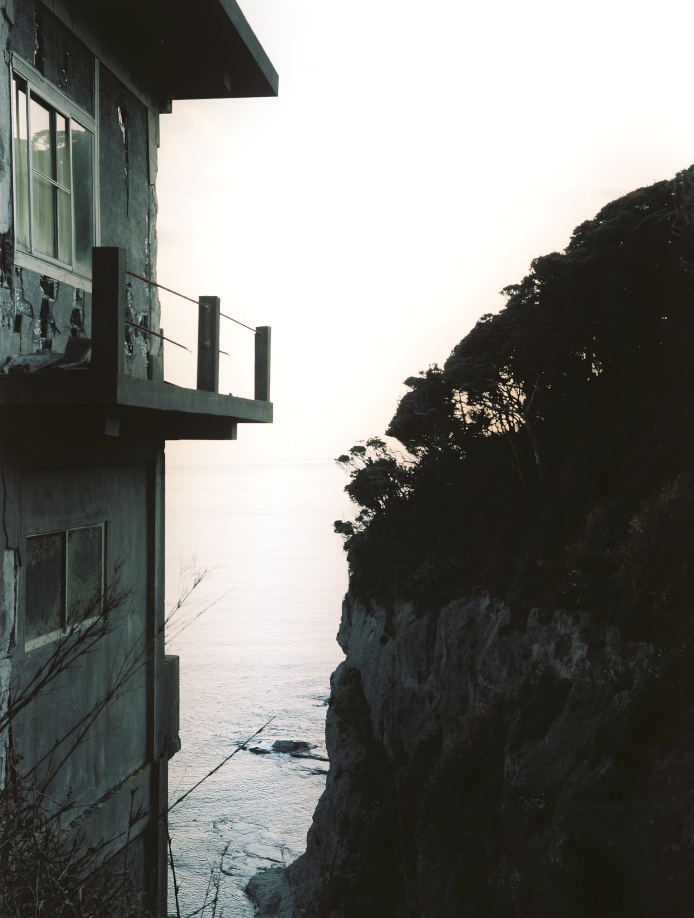 Abandoned, Liberated
