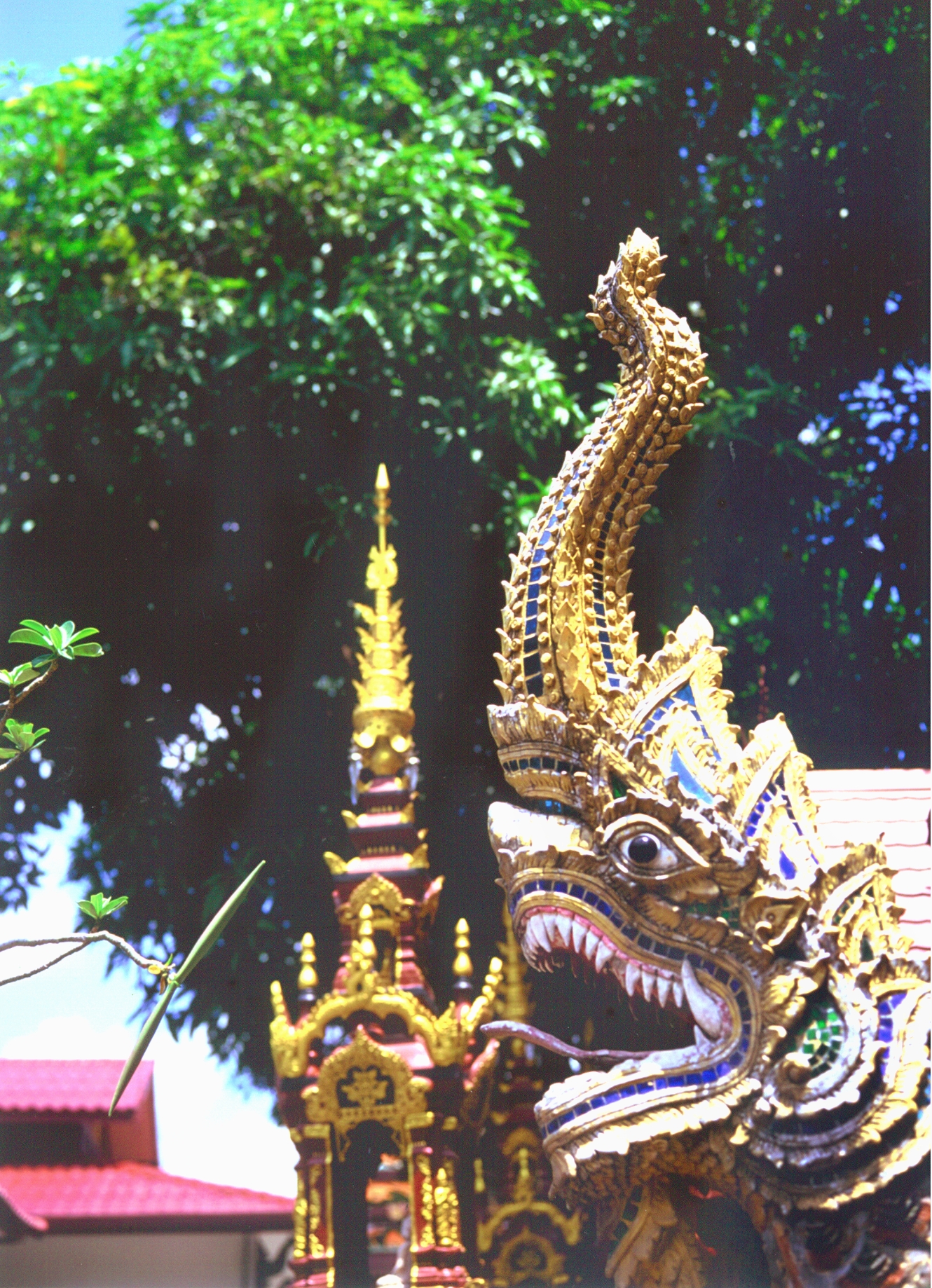 Wat Chiang Man